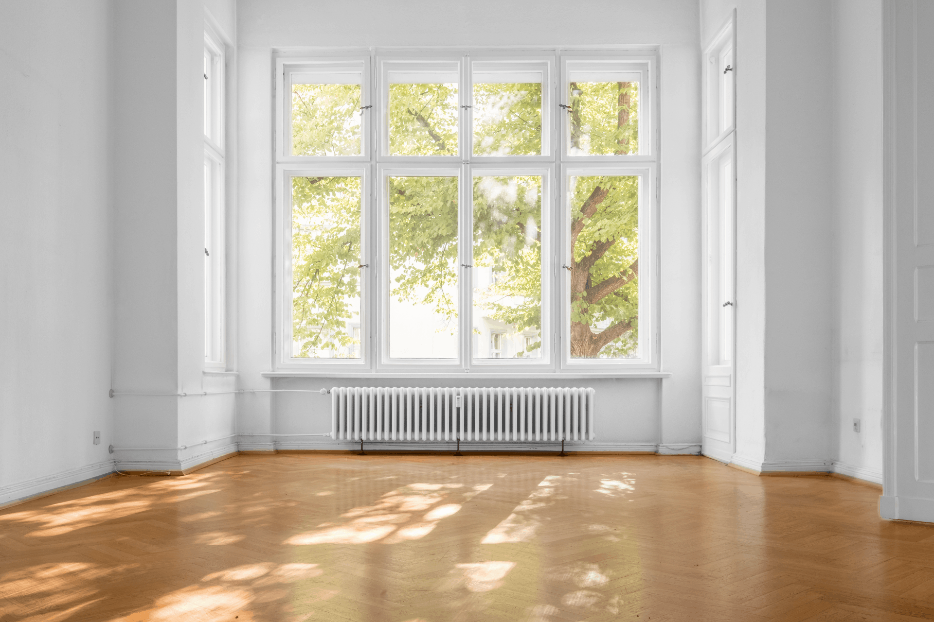windows