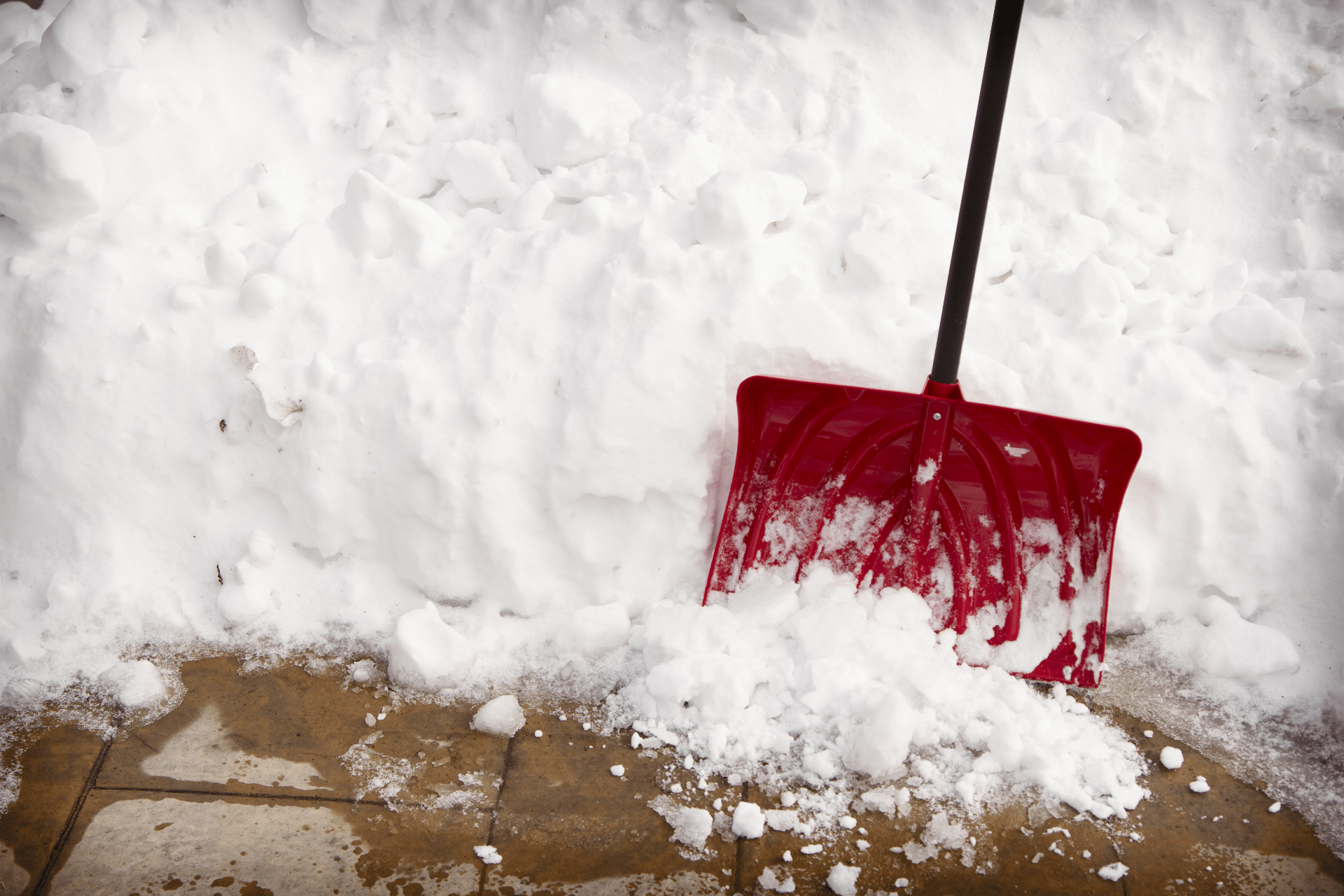 snow outside