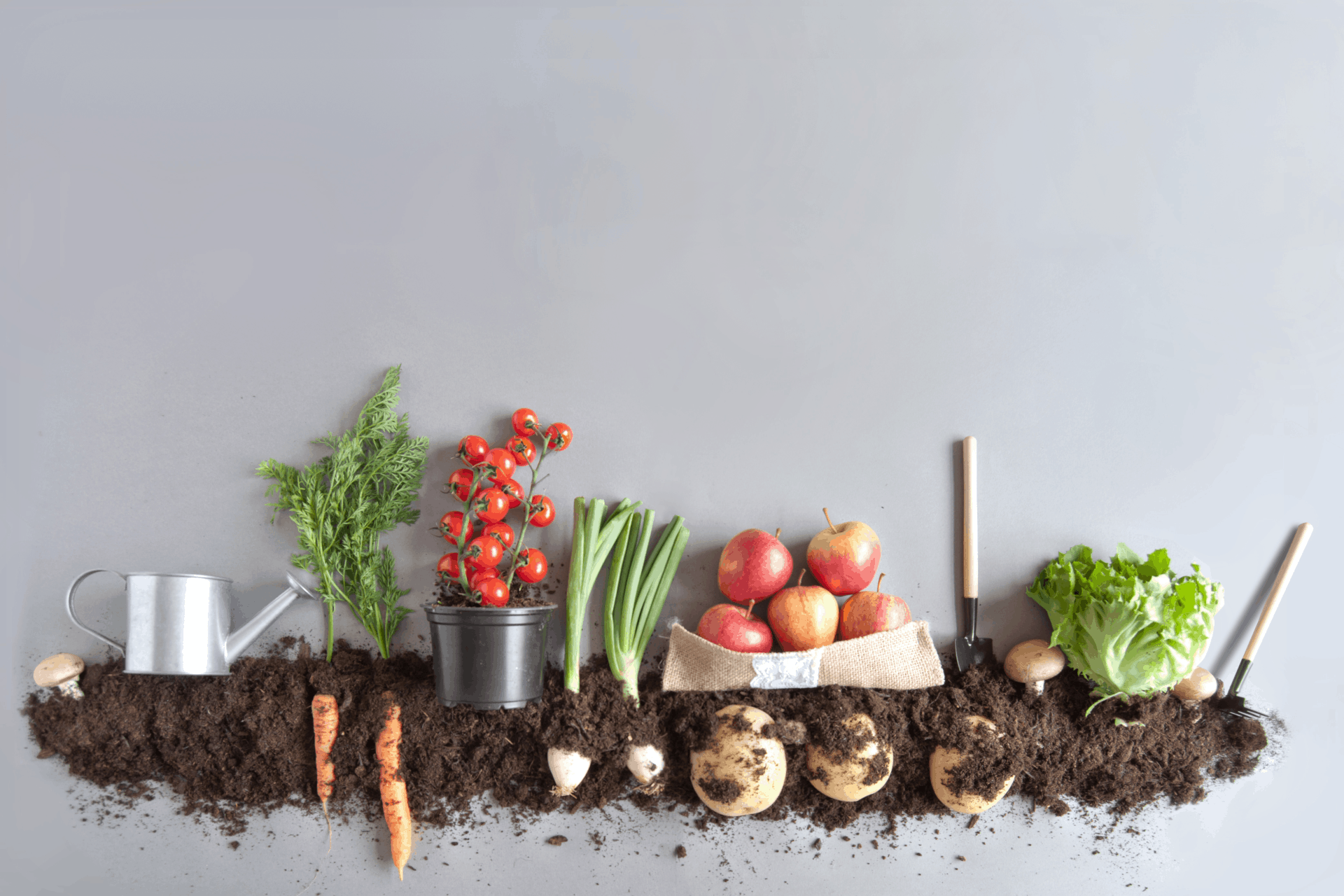 fruits and vegetables
